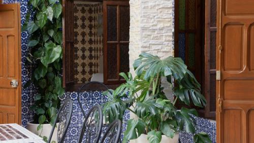 a patio with a table and chairs and plants at Riad Shama in Rabat