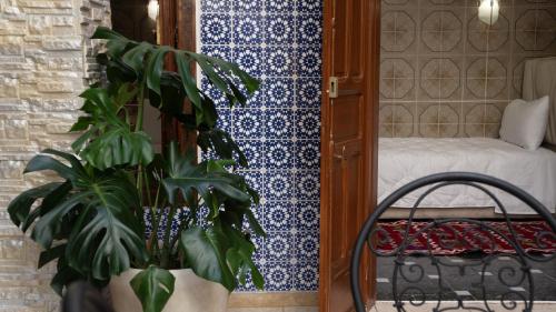 a room with a plant next to a bedroom at Riad Shama in Rabat