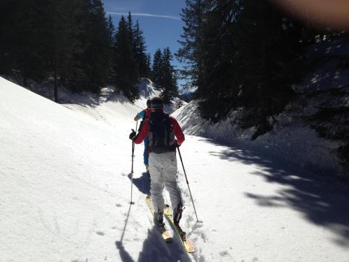 a person is cross country skiing down a snow covered slope at Alps Residence in Nova Ponente