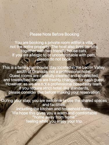 a poem about a pillow with the words stress noise before booing at La Casa De Los Gatetes in Dúrcal