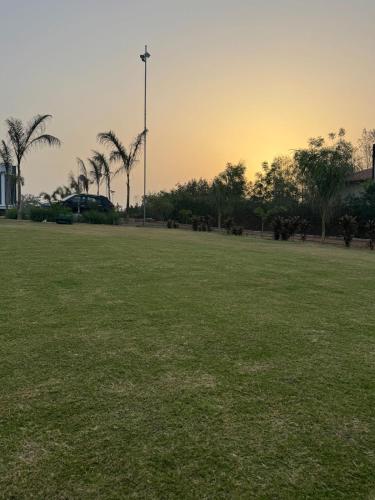 a large field with palm trees and a street light at C-69 Dreamland, Luxury 4BHK farm with private swimming pool , 1 acre garden in Bhundsi