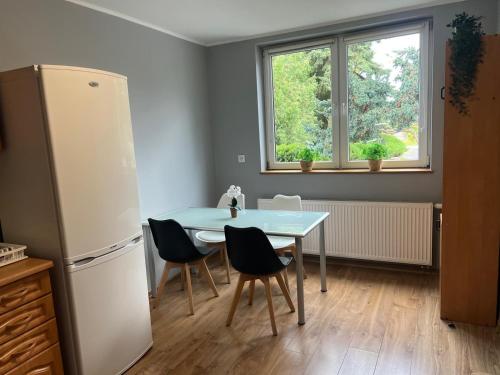 Η κουζίνα ή μικρή κουζίνα στο Apartament Gajewniki