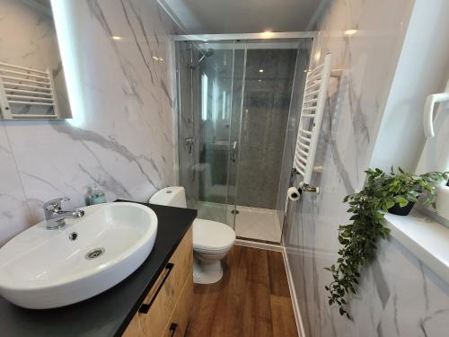 a bathroom with a sink and a shower and a toilet at Sola Lodge - Luxe chalet in natuur Overijssel in Mariënberg