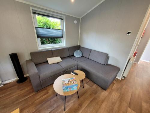 a living room with a couch and a table at Sola Lodge - Luxe chalet in natuur Overijssel in Mariënberg