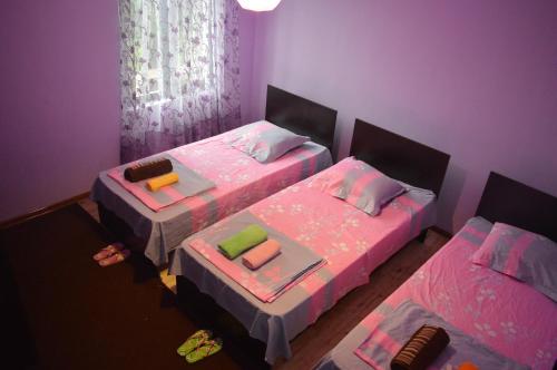 two beds in a room with purple walls at Shalva Apartment in Chakvi