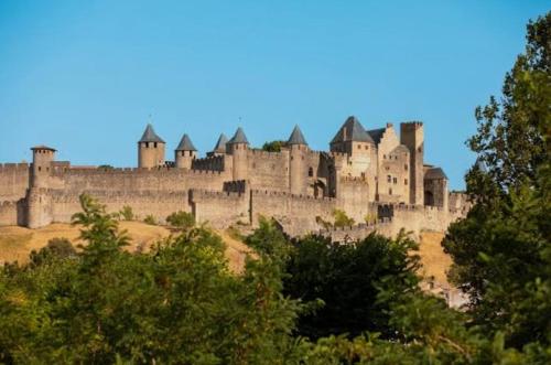 un grand château au sommet d'une colline dans l'établissement T2 tout confort, cité, parking, à Carcassonne