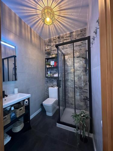 a bathroom with a shower and a toilet and a sink at Agrotur Fenix in Telde