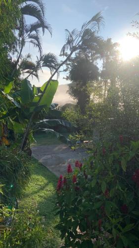 a view of a garden with trees and flowers at Ecopolis Hospedaje en el queremal in Papagalleros