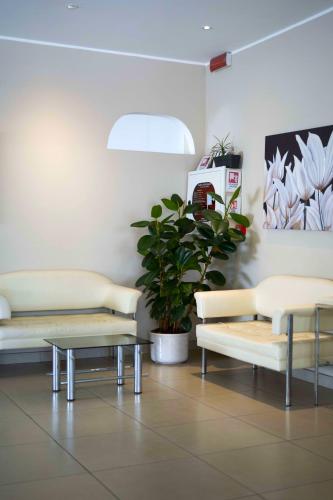 a waiting room with two couches and a potted plant at Hotel Sant'Elena in Rimini