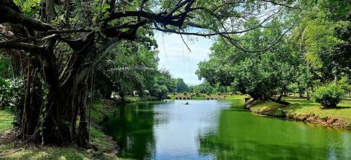 Paesaggio naturale nelle vicinanze dell'affittacamere