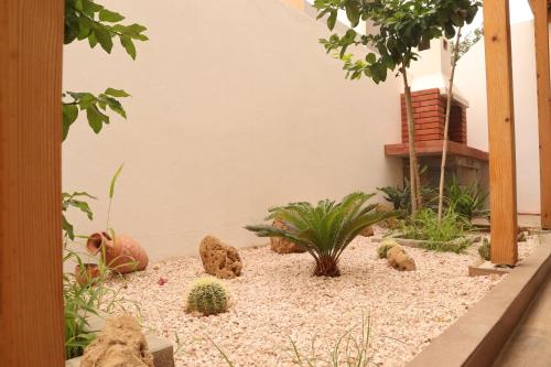 a garden with rocks and plants in front of a building at Surf and Stay Villa Anza Taghazout Tamraght in Agadir
