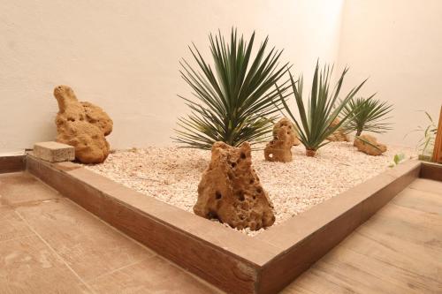 a planter with some plants and rocks in a room at Surf and Stay Villa Anza Taghazout Tamraght in Agadir