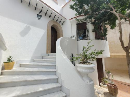 Gambar di galeri bagi Villa Belvedere di Tunis