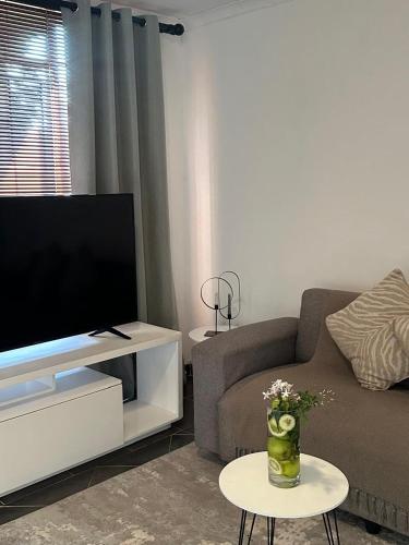 a living room with a couch and a tv at The Tranquil Ridge in Hilton