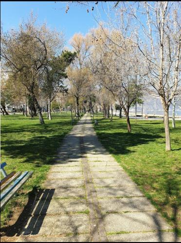 a path in a park with trees and grass at Laura property in Pogradec