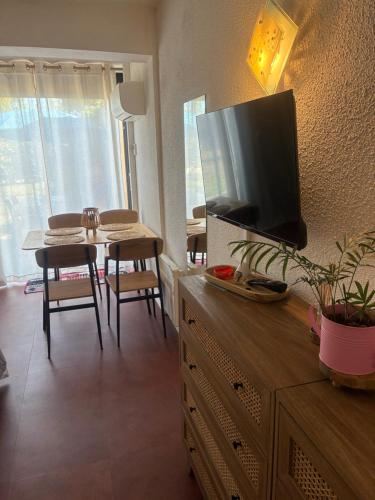 TV a/nebo společenská místnost v ubytování Arles Camargue