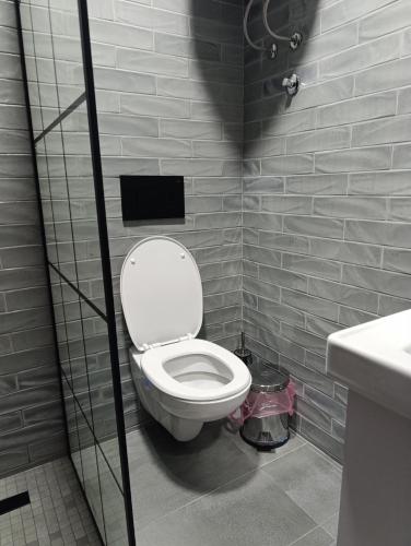 a bathroom with a toilet and a sink at Chill family lux Svilajnac in Svilajnac