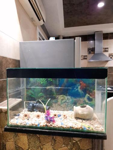 スースにあるCasa Di Sofraのギャラリーの写真