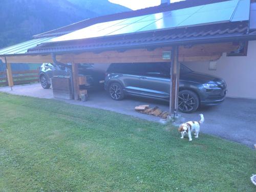 a dog standing in the grass next to a car garage at Mölltaler Ferienhäuser in Großkirchheim