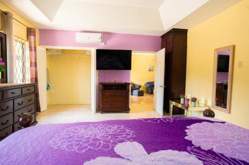 a bedroom with a purple bed and a tv at Elegant,Central & spacious unit with AC at DW APTS in Mandeville