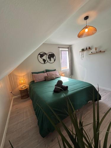Le Col'Vert - Appartement 50m2 - Colmar Centre