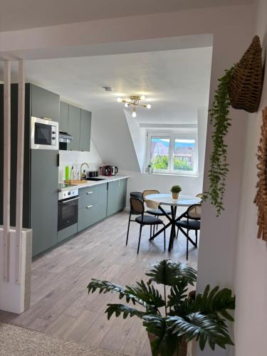 Le Col'Vert - Appartement 50m2 - Colmar Centre