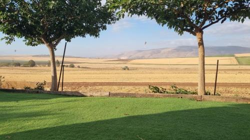 a field with two trees and a field of grass at וילה במושב בנוף מושלם כל השנה in Moledet