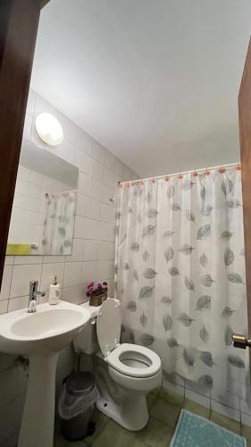 Un baño con lavabo, inodoro y cortina de ducha. en Apart Rayen, en Los Ángeles
