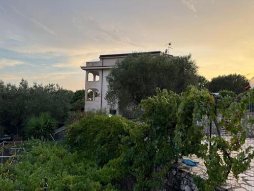 a house in the middle of a garden at Seamoon Residence in Marina di Camerota