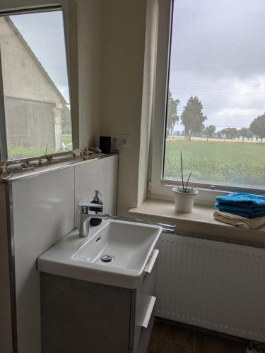 a bathroom with a sink and a window at Ferienwohnung Seeling Weserbergland in Ottenstein