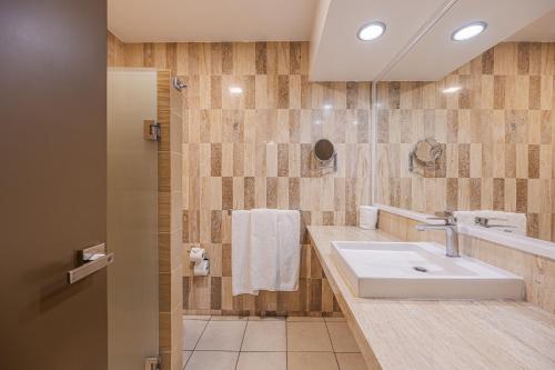 a bathroom with a sink and a shower at Hotel Malibu in Guadalajara