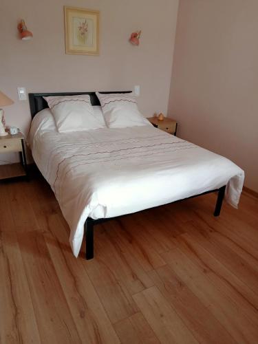 a large bed in a bedroom with a wooden floor at Gîte A-B Roger in Ganties