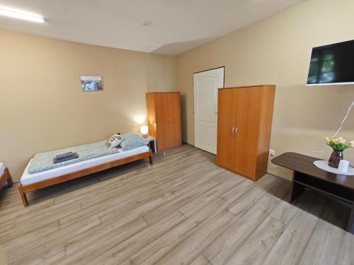 a room with a bed and a tv in it at Apartmány Zámecká in Roudnice nad Labem