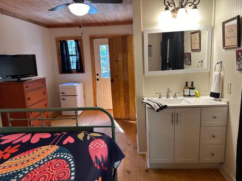un bagno con un letto, un lavandino e uno specchio di Eclectic Cabin - 5 Mins to DeSoto Park & Falls 