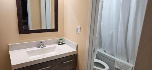 a bathroom with a sink and a shower and a toilet at Town'n Country Motor Inn in Leamington