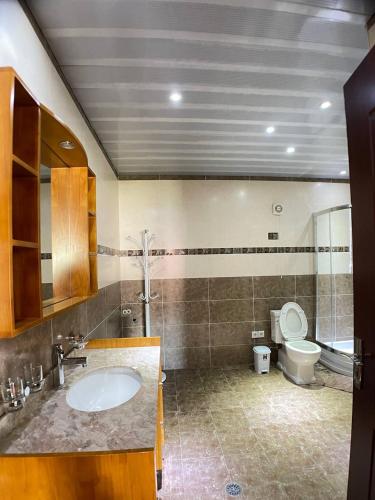 a bathroom with a sink and a toilet at villa annamaria in Bakuriani