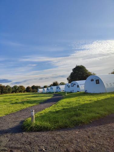 a row of white tents in a field at Canal Stay in Cloondara