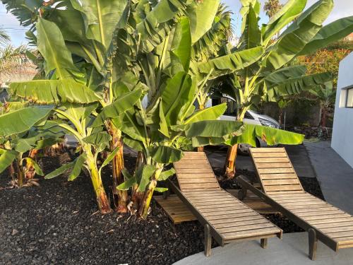 Zahrada ubytování Tagoro Sunset View & Heated Pool Tenerife