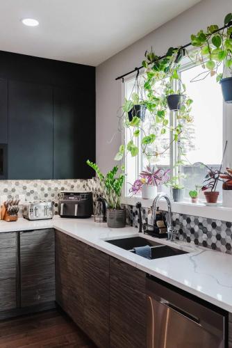 a kitchen with a sink and a window with potted plants at NordicSauna 3 Ensuite baths TheYellowDoorRetreat in Edmonton
