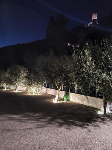 a park with trees and a wall at night at La casetta di monterivoso in Monterivoso