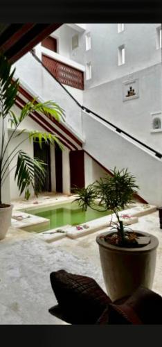two potted plants on a balcony with a building at Baytulkher in Lamu