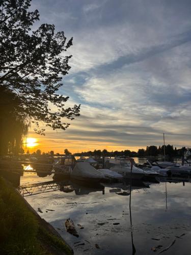 a group of boats docked in a marina at sunset at Luxuriöses Apartment im historischen Wangen in Wangen im Allgäu