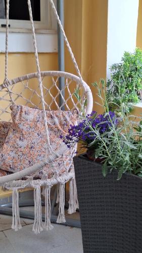 Gallery image of dasia apartments in Dassia