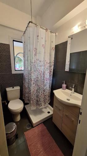 a bathroom with a shower and a toilet and a sink at dasia apartments in Dassia