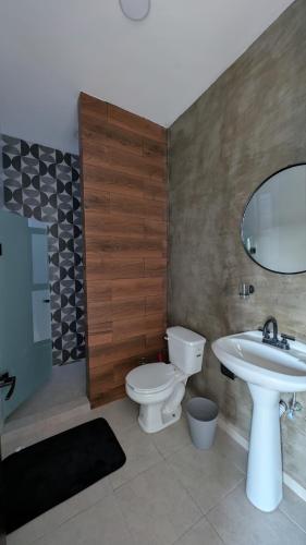 a bathroom with a toilet and a sink and a mirror at Departamentos San Marcos in Aguascalientes