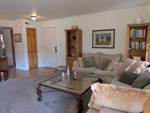 a living room with a couch and a coffee table at Peaceful Sunny Ski Out Ski In Condo, Parking, Pets in Telluride