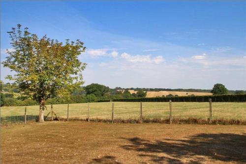 a tree in a field next to a fence at Little Puddingcake - Adorable 1 bedroom guesthouse near Chapel Down in Rolvenden