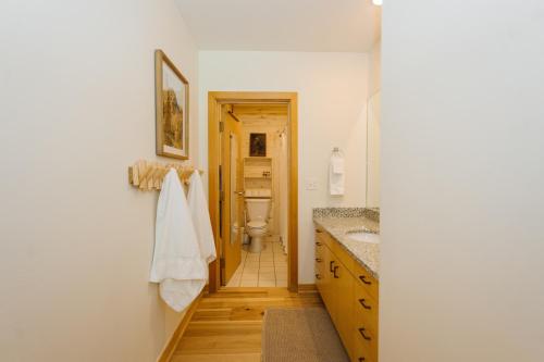 a bathroom with a toilet and a sink at Nest at Solitude Cozy Ski In Ski Out in Brighton