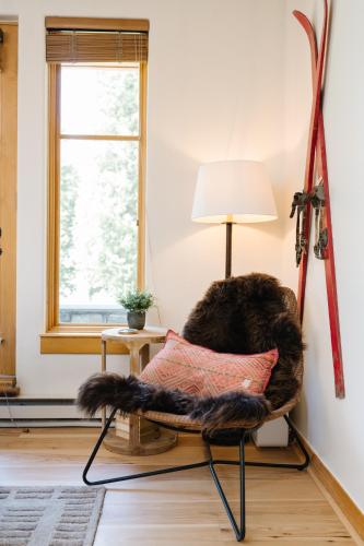 a cat sitting on a chair in a room at Nest at Solitude Cozy Ski In Ski Out in Brighton