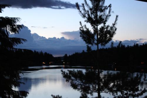 a view of a river with a tree in the foreground at Oyster Bay Inn & Suites in Bremerton